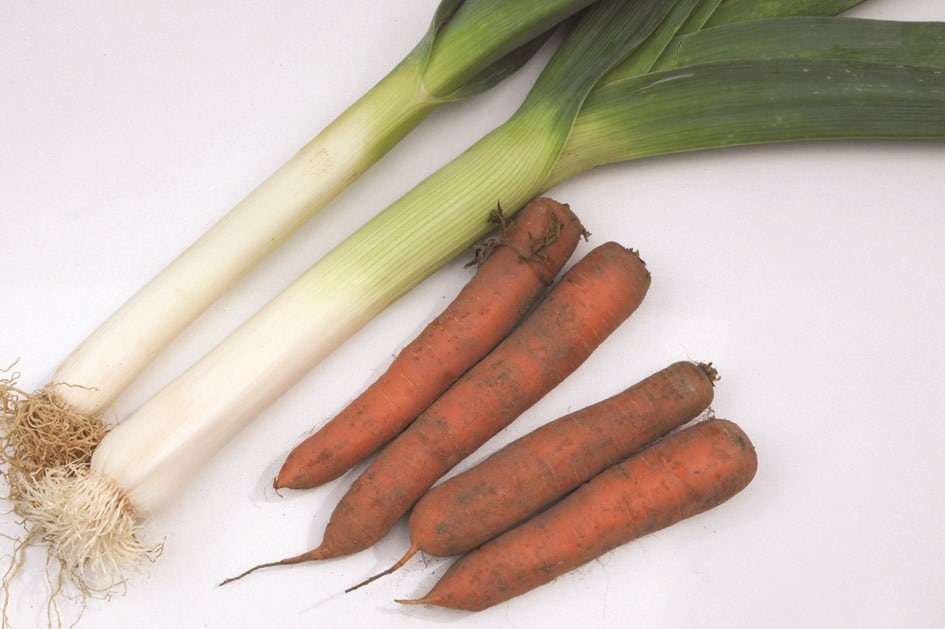 découvrez les bienfaits des carottes vapeur, une méthode de cuisson saine et délicieuse. apprenez des recettes simples et rapides pour savourer ce légume riche en vitamines et en saveur.