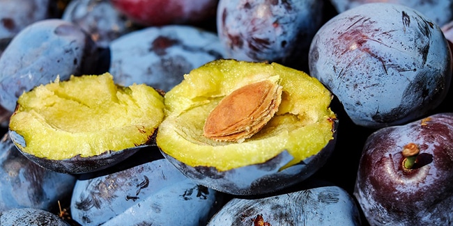 découvrez comment germer un noyau de brugnon facilement chez vous. suivez nos conseils étape par étape pour profiter de délicieux fruits juteux et sucrés en cultivant votre propre arbre.